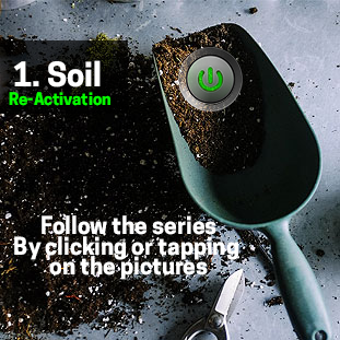 Soil