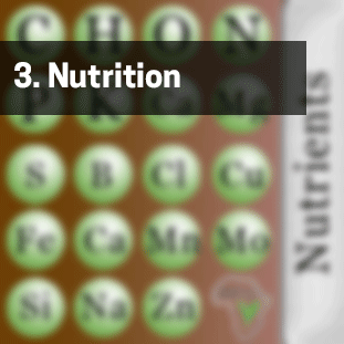 Nutrients