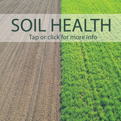 Soil health